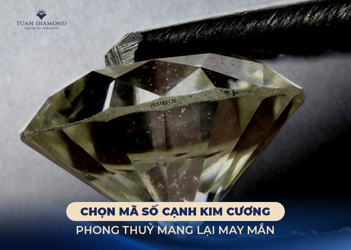 chon-ma-so-canh-phong-thuy