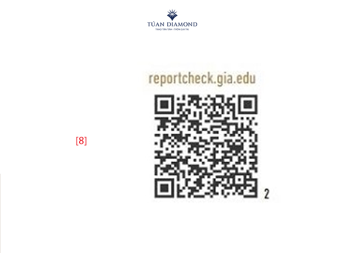 ma-qr-code-gia-report