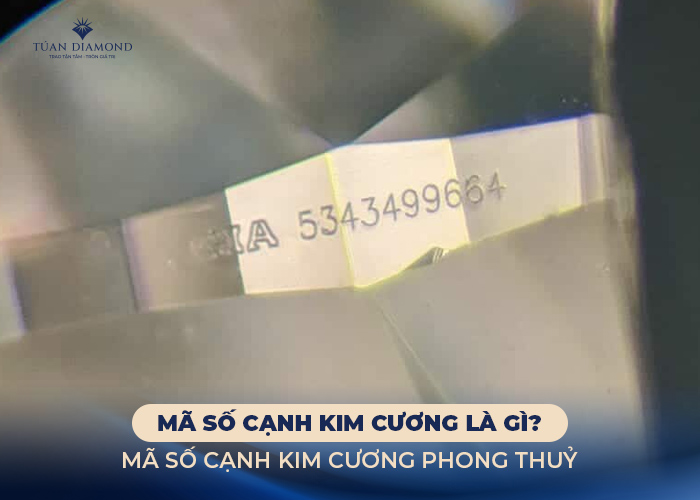 ma-so-canh-kim-cuong-la-gi