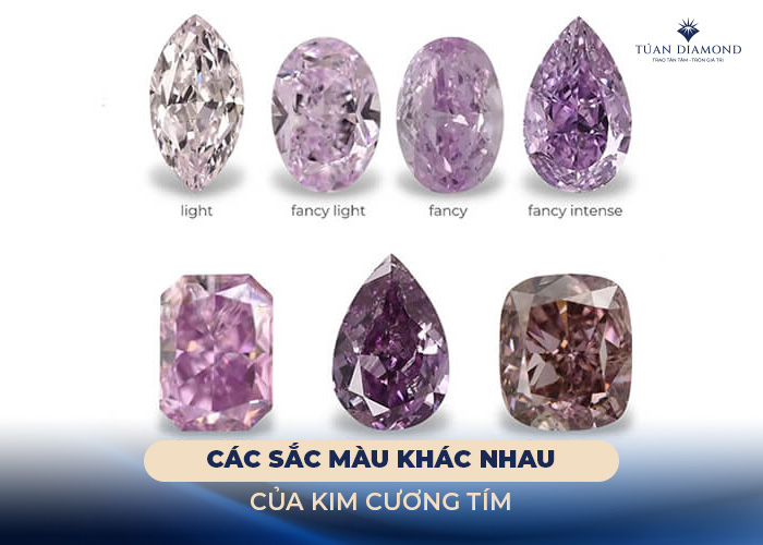 phan-loai-kim-cuong-tim