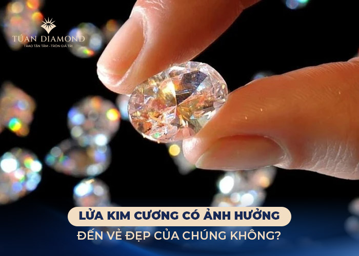 tam-quan-trong-cua-lua-kim-cuong