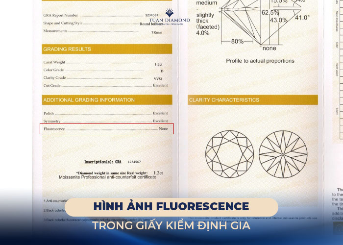 Fluorescence-trong-giay-kiem-dinh-gia