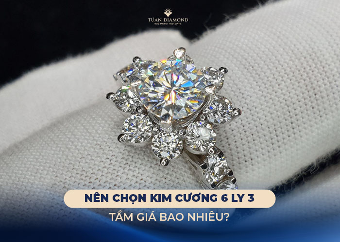 gia-kim-cuong-6-ly-3