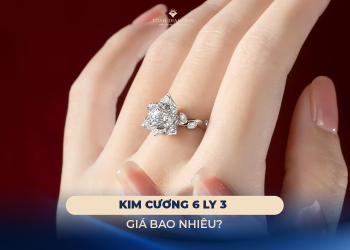 kim-cuong-6-ly-3-gia-bao-nhieu